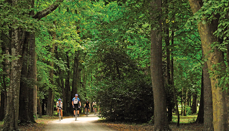 Blvqf-loire-valley-biking
